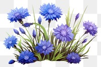 PNG Cornflowers purple plant art. AI generated Image by rawpixel.