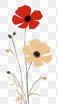 PNG Colorful wildflower poppy plant petal. AI generated Image by rawpixel.