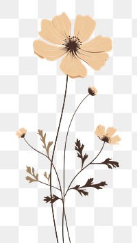 PNG Wildflower pattern drawing sketch. 