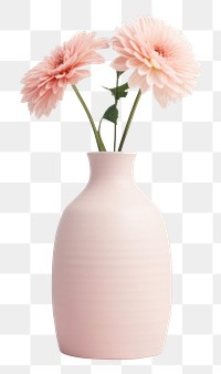 PNG  Vase flower plant inflorescence decoration