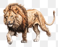 PNG Lion running mammal animal white background. AI generated Image by rawpixel.