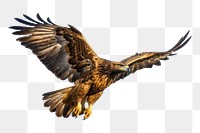 PNG Golden Eagle flying buzzard vulture. AI generated Image by rawpixel.