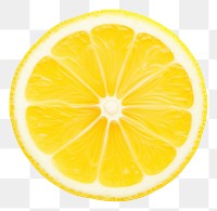 PNG  Sliced lemon circle slice fruit. 