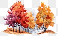 PNG Colorful autumn maple trees forest land landscape. 