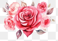 PNG Rose pattern flower petal. AI generated Image by rawpixel.