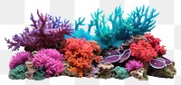 PNG Coral reef aquarium nature plant. AI generated Image by rawpixel.