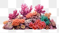 PNG Coral reef nature food sea. AI generated Image by rawpixel.