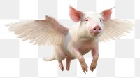 PNG Pig animal mammal wing. AI generated Image by rawpixel.