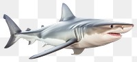 PNG Shark animal fish  