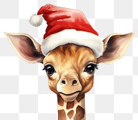 PNG Cute baby giraffe cartoon mammal animal. 