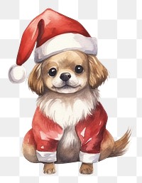 PNG Sea lion wearing Santa Claus costume cartoon mammal animal. 