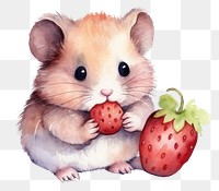 PNG Cute hamster eating strawberry rat rodent mammal. 