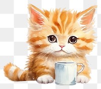 PNG Cat drinking milk mammal animal kitten. 