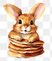 PNG Rabbit eating pancake animal mammal food. 