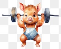 PNG Boar animal weightlifting mammal. AI generated Image by rawpixel.