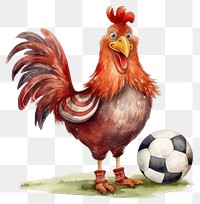 PNG Chicken animal sports football. AI generated Image by rawpixel.