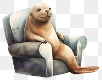 PNG Sea lion wear sweather animal chair furniture. AI generated Image by rawpixel.