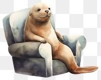 PNG Sea lion wear sweather animal chair furniture. 