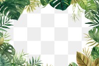 PNG Plant leaf backgrounds outdoors