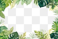 PNG Plant leaf backgrounds outdoors. 