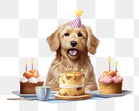 PNG A dog Having A Birthday Party cake birthday dessert. 