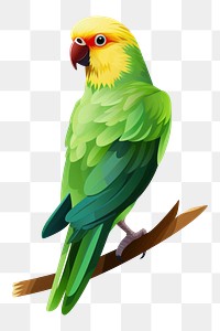 PNG Parrot animal green bird. 