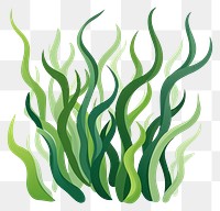 PNG Seaweed plant wheatgrass. 