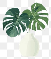 PNG Plant leaf vase  