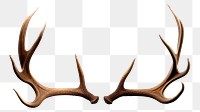 PNG Isolated Deer antlers white background taxidermy moustache. 