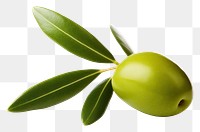 PNG  Olive plant food leaf. AI generated Image by rawpixel.