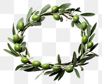 PNG  Olive wreath plant food. AI generated Image by rawpixel.