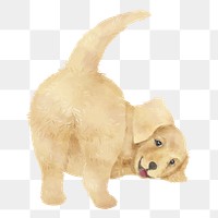 PNG puppy watercolor element on transparent background 