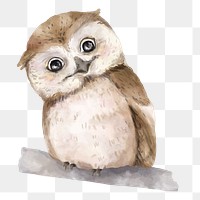 PNG baby owl watercolor element on transparent background