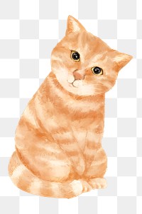 PNG ginger cat watercolor element on transparent background 