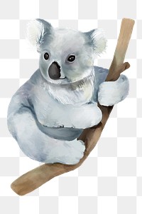 PNG koala watercolor element on transparent background 