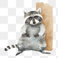 PNG raccoon watercolor element on transparent background