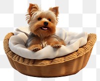 PNG Basket dog terrier mammal. 