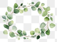 PNG Eucalyptus circle leaf wreath plant  