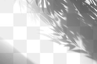 PNG Leaf shadow effect, transparent background