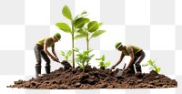 PNG Agriculture farmers farming planting agriculture gardening. AI generated Image by rawpixel.