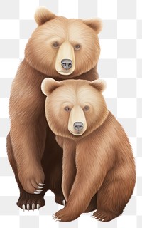 PNG Two brown bears holding trophy mammal animal white background. AI generated Image by rawpixel.