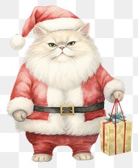 PNG Cat holding a gift bag Like Santa Claus mammal pet representation