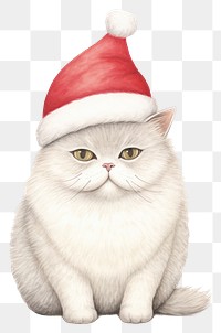 PNG Cat wearing a Santa hat drawing mammal animal. 