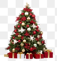 PNG Christmas decoration plant tree box