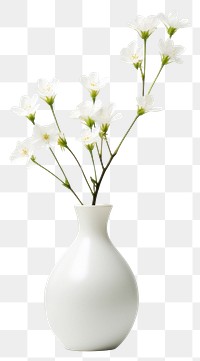 PNG Flower vase plant white decoration