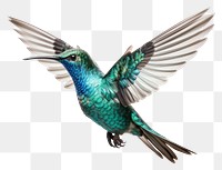 PNG Hummingbird animal flying white background. AI generated Image by rawpixel.