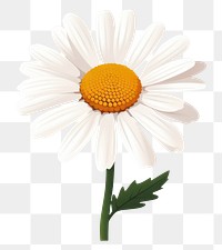 PNG  Daisy flower plant white. AI generated Image by rawpixel.