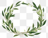 PNG Olive branch wreath circle plant. 