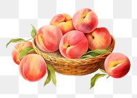 PNG Fruit basket peach apple plant. 