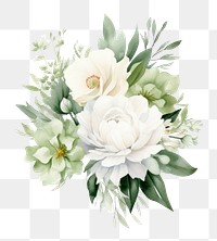 PNG White flowers rose plant white